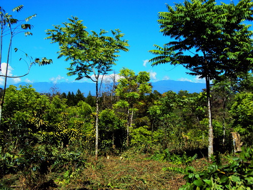 lot views San Vito Costa Rica
