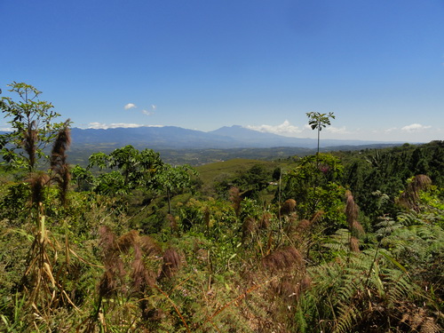 Coto Brus Valley Views