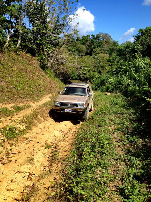 Public Road on the Osa