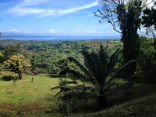 Osa Peninsula Reserve