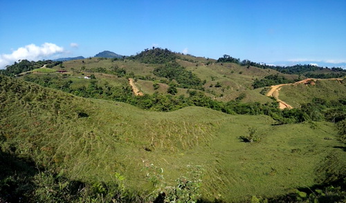 Mountain Grown Coffee between 4000 and 6000 ft