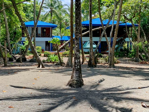 From the beach looking back at house