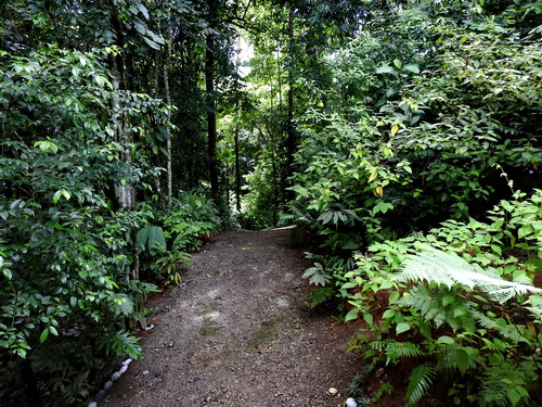 Driveway to main road, look! no traffic insight. :)