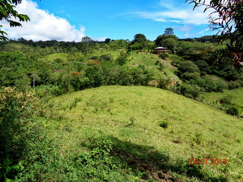 Building space or Pasture area