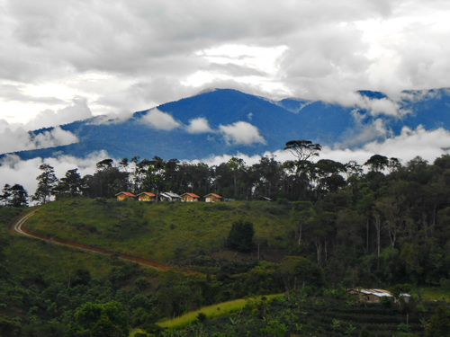 Coffee Farm For Sale Amistad International Park