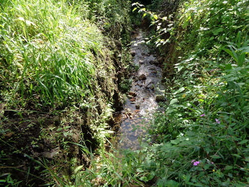 Creek on property