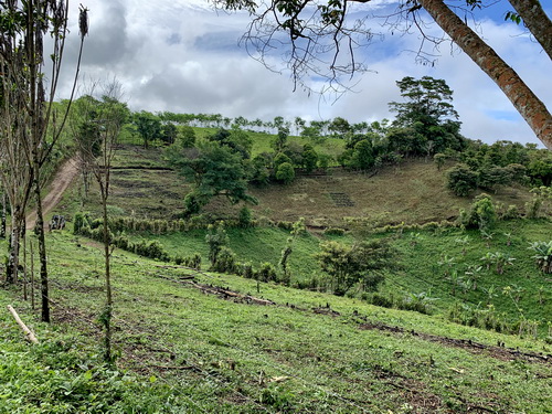 Lot #1 in distance large 5000 sq. mts picture taken lot # 3 in foreground