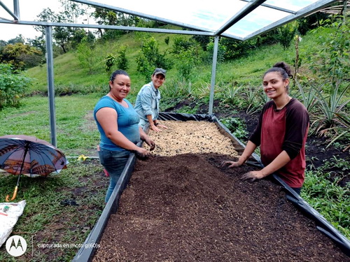 Preparing beds with Organic Mix