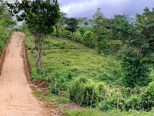 New Gravel on 1 km Public Road ! yes, no getting stuck in the rains now