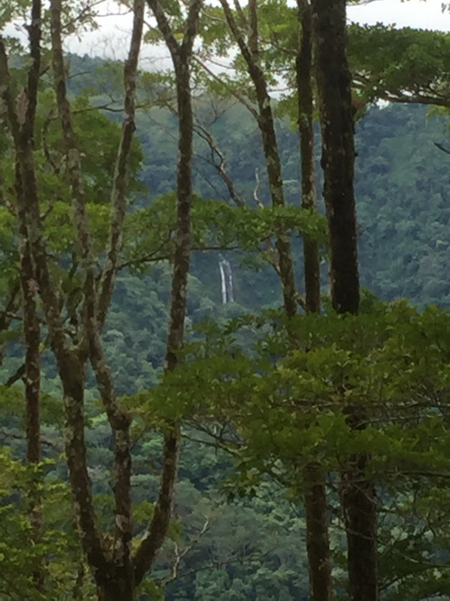 Distant Waterfall can be heard