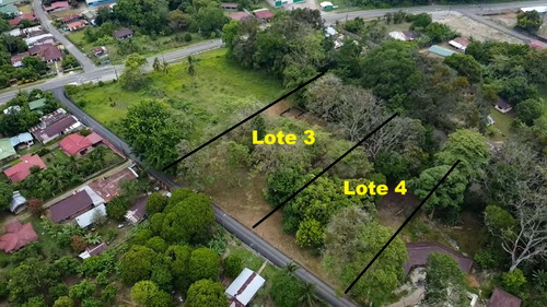 2 flat and treed lots