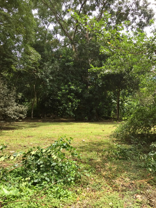 1 Acre lot in Center