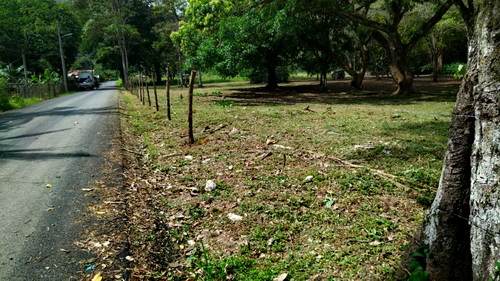 paved lot frontage side road 