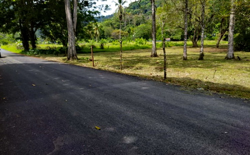  lots are the ones chopped