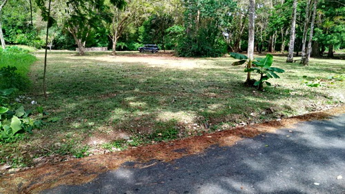 Deep 1 acre lot