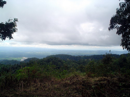 Acutal Building Site