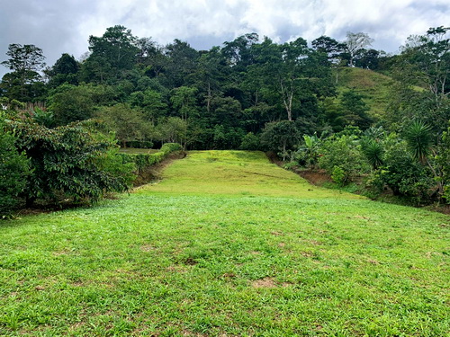 Spring water and forest at back