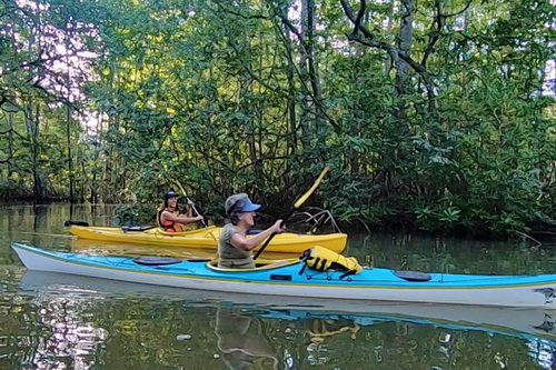 Exploring the Mangroves, hours can be spent and leads to Rio Coto