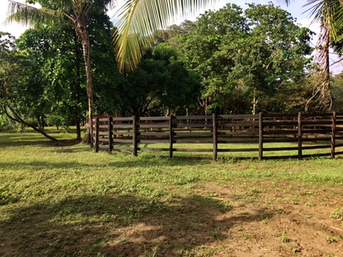 Horse Corral