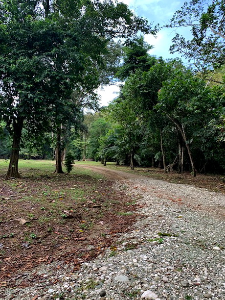 Nice and Quiet Titled Lots in Playa Zancudo