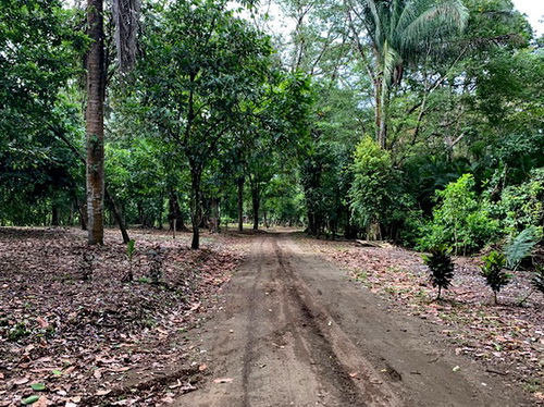 Main Road inside Main Gate