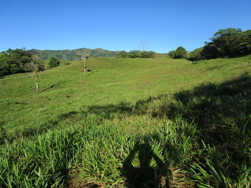 open gentle sloping usable land