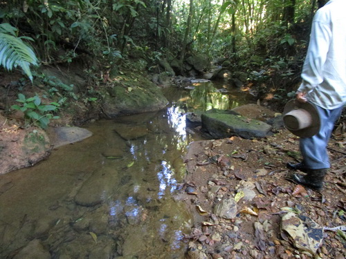 year-round spring water 