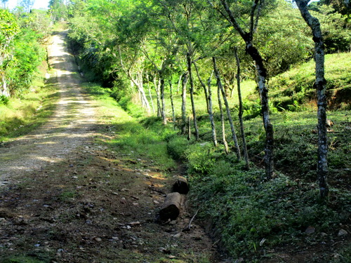 public road 4 km to pavement