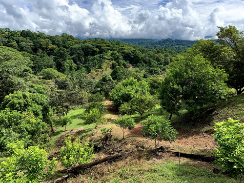 returning to house from Jungle Pool<br> notice house in the distance