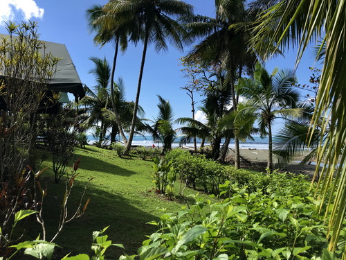 Lovely Beach Views