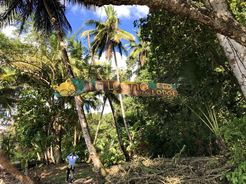 Arriving at La Leona (on right) property begins where person in blue shirt enters