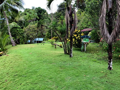 manicured barefoot lawn