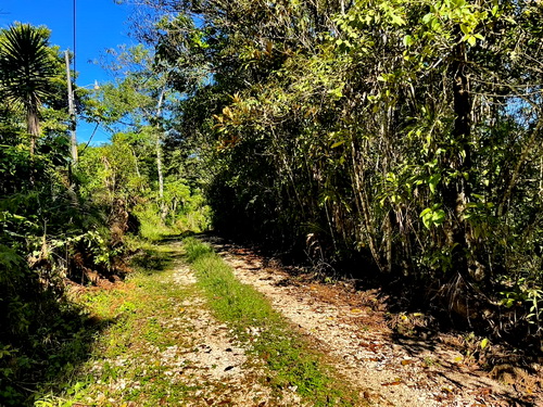 only in CR can you find public roads like this....end of the road Peace