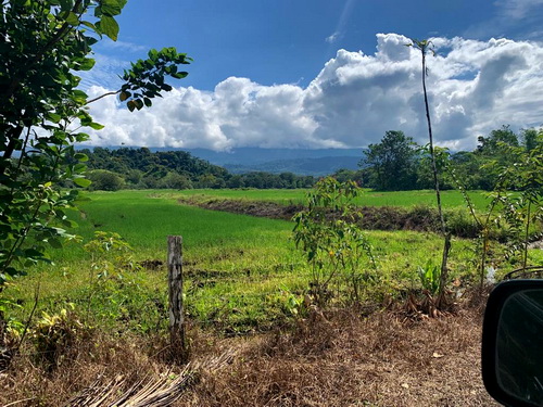 Main Road View