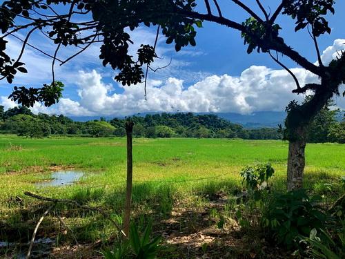 Taken from Main Road