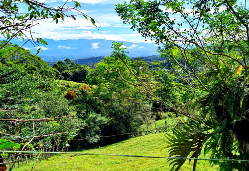 awesome view out behind Casita for a deck