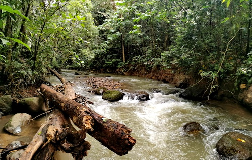 Rio Marzo 