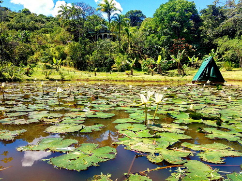 after 100 mts we see pond and house in background