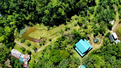 Pond and Pizzeria lower left