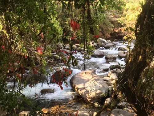 swimming holes