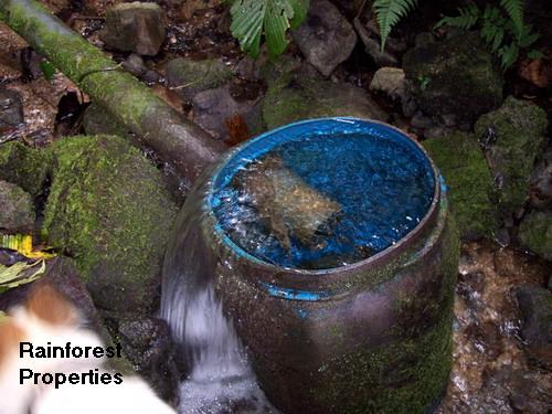 Spring Water Costa Rica