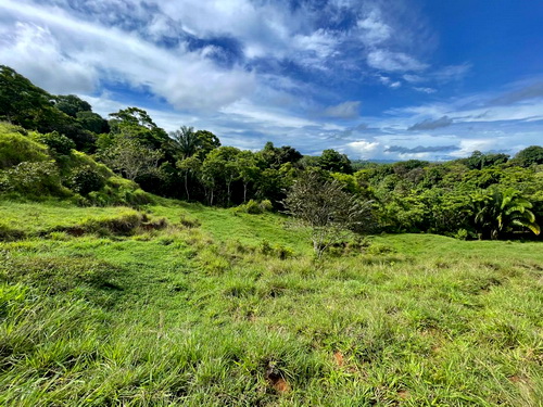 Great pastures for Animals or Housing