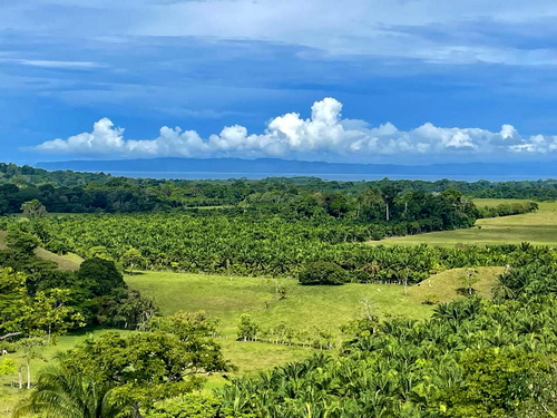 Golfo Dulce Osa Pen. in background