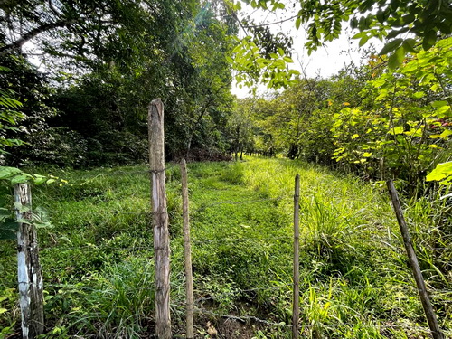 Titled to the road below, buildable on the flat