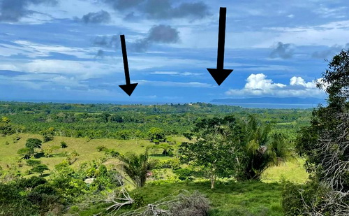 Pavones on left Matapalo on right