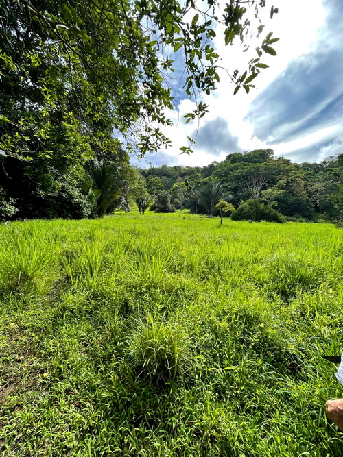 large flat pastures for horses?