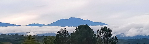 Views from large building site