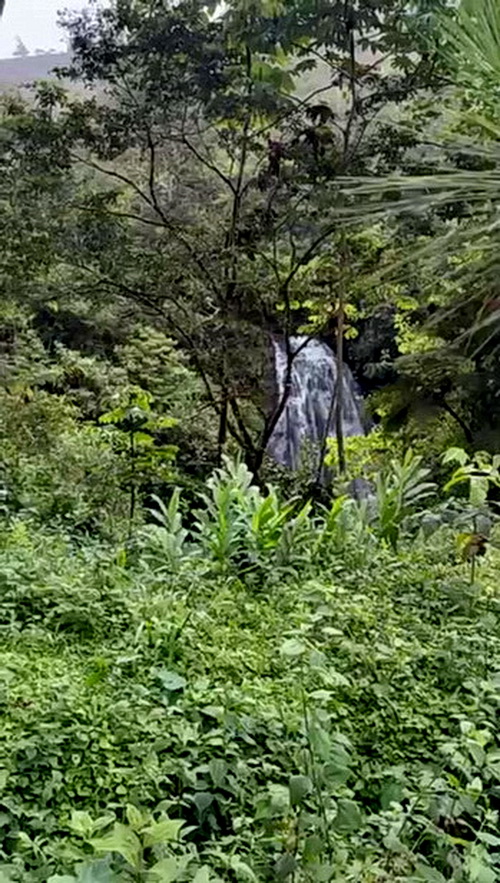 Walking down to base of Waterfall this is a great building location for a forested cabin