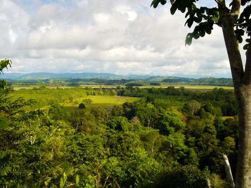 looking out the other direction over farm lands