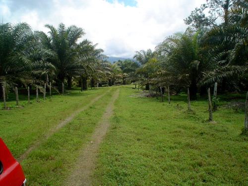 Two Lane drive Costa Rica